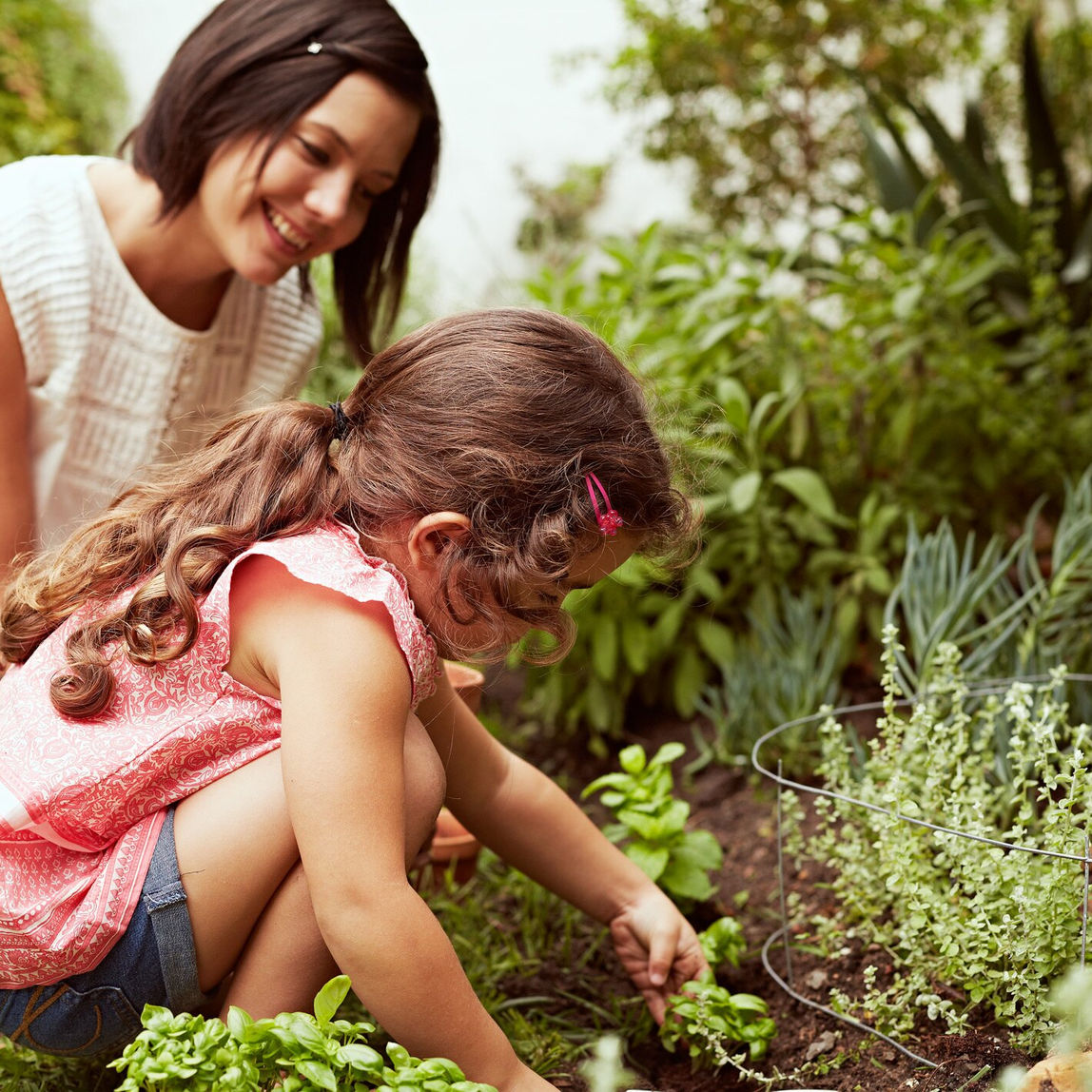 Mother’s Day Birthday Garden